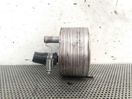 Oil radiator NISSAN PATROL GR V Wagon (Y61) 3.0 DTi | BP14033734M33 