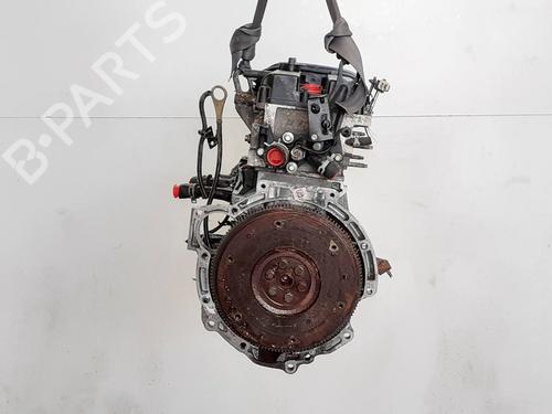 Engine FORD FIESTA VI (CB1, CCN)  | BP25890146M1 