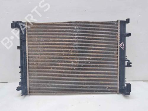 Water radiator DACIA JOGGER (RK_)  | BP32160863M31  - Image 7