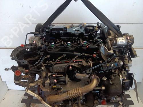 Engine FORD FIESTA VI (CB1, CCN) | BP39399667M1 - Image 6