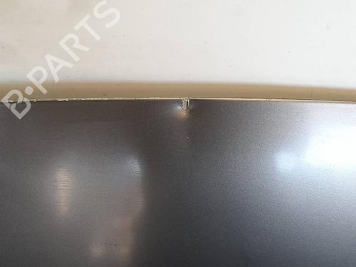 Hood FIAT BRAVO II (198_) 1.9 D Multijet (198AXB1A) | BP15840864C1 