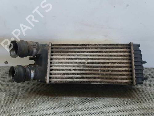 Used Intercooler Intercooler PEUGEOT PARTNER MPV (5_, G_) [1996-2026] 3438599 3438599