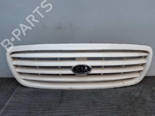 Used Grille Grille 5828817 5828817