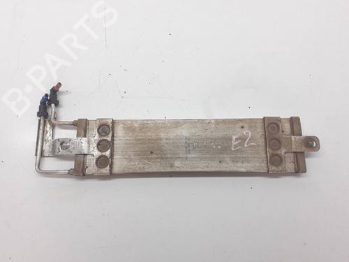 Oil radiator VW GOLF V (1K1)  | BP29821020M33