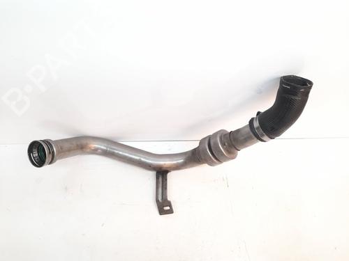 Pipe NISSAN JUKE (F15) 1.5 dCi | BP17132688M125 