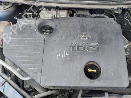 Front right belt tensioner FORD FOCUS II Turnier (DA_, FFS, DS)  | BP10136228C88 
