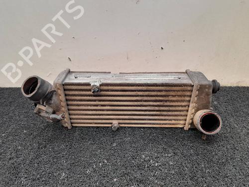 Used Intercooler Intercooler KIA RIO II (JB) [2005-2011] 9733125 9733125