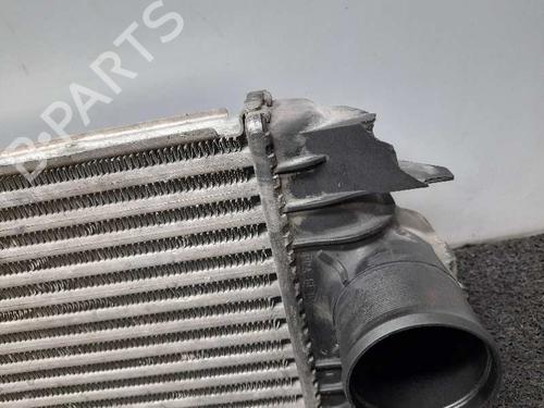 Intercooler NISSAN INTERSTAR Van (X70) | BP4433899M30 - Image 3
