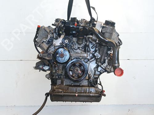 Used Engine Engine MERCEDES-BENZ S-CLASS (W220, V220) [1998-2005] 34246077 34246077