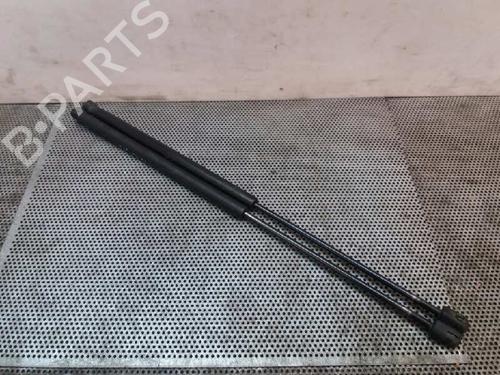 Gasdæmper bagklap FORD FOCUS C-MAX (DM2) [2003-2007]  14035242