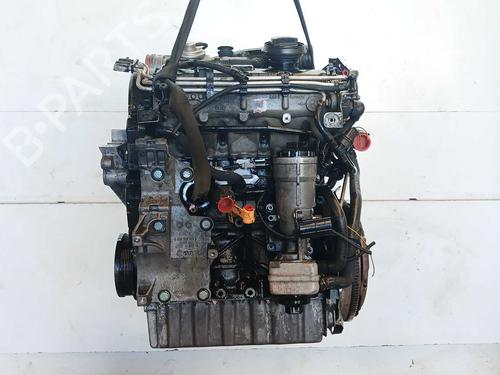 Motor Motor VW GOLF V (1K1) 1.9 TDI (105 hp) 36663469 36663469