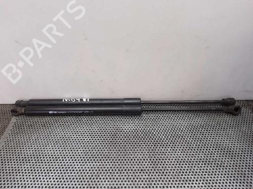 Used Tailgate lift support RENAULT CLIO IV (BH_) [2012-2021]  14034982