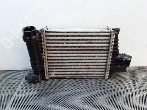 Used Intercooler Intercooler DACIA DUSTER (HS_) 1.2 TCe 125 4x4 (125 hp) 4437550 4437550