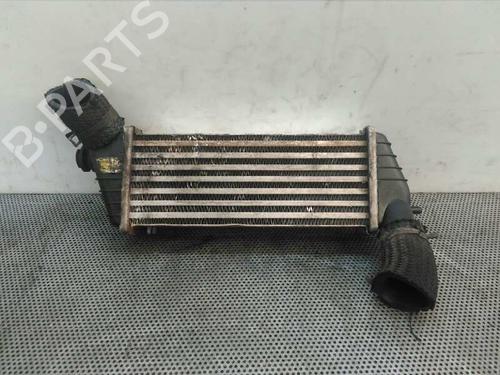 Used Intercooler Intercooler HYUNDAI ACCENT II (LC) 1.5 CRDi (82 hp) 918461 918461