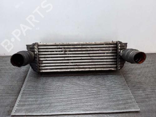 Used Intercooler Intercooler FORD TRANSIT CONNECT (P65_, P70_, P80_) [2002-2026] 4440140 4440140