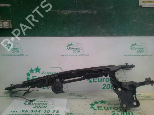 Frontplade/Frontkurv RENAULT MEGANE II (BM0/1_, CM0/1_) [2001-2012]  2128748