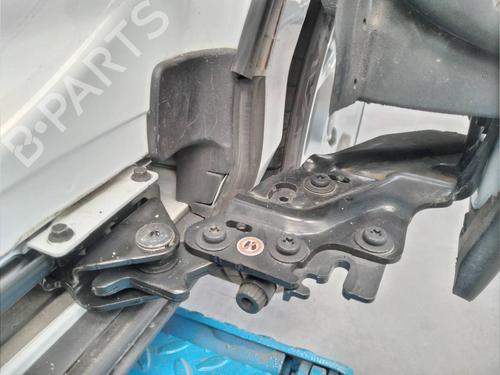 Hinge/Door check strap FORD B-MAX (JK) 1.0 EcoBoost | BP14042304C146 