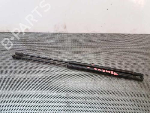 Used Hood lift support NISSAN ATLEON [2000-2025]  18062627