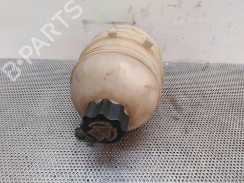 Expansion tank PEUGEOT 206 Hatchback (2A/C) 1.4 LPG | BP1596865C120 