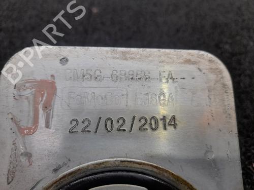 Oil radiator FORD B-MAX (JK) 1.0 EcoBoost | BP14043807M33 - Image 2