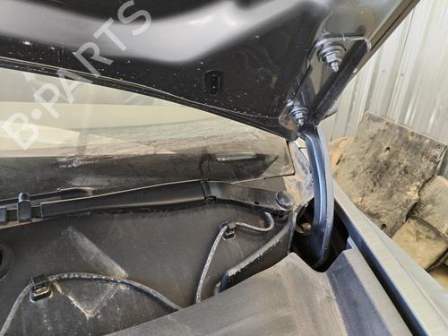 Hinge/Door check strap TESLA MODEL Y (5YJY)  | BP29532438C146 