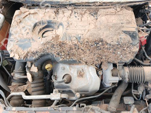 Rear parcel shelf FORD FIESTA VI (CB1, CCN) 1.5 TDCi | BP34120229C85  - Image 7