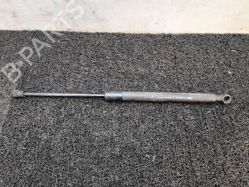 Hood lift support DACIA LODGY (JS_)  BP14033089C139