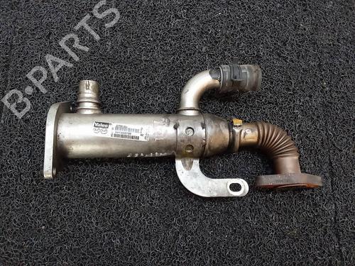 Egr FORD FOCUS C-MAX (DM2)  | BP14041019M69 