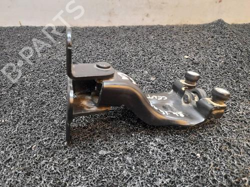 Hinge/Door check strap FORD TRANSIT COURIER B460 MPV 1.5 EcoBlue | BP14043501C146 