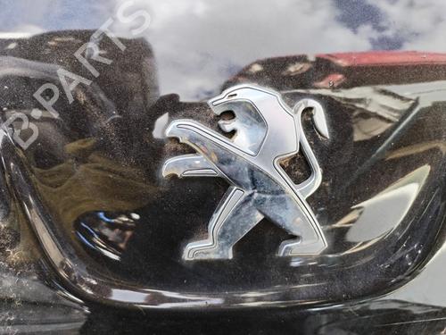 PEUGEOT 406 Coupe (8C) [1997-2005] 20590