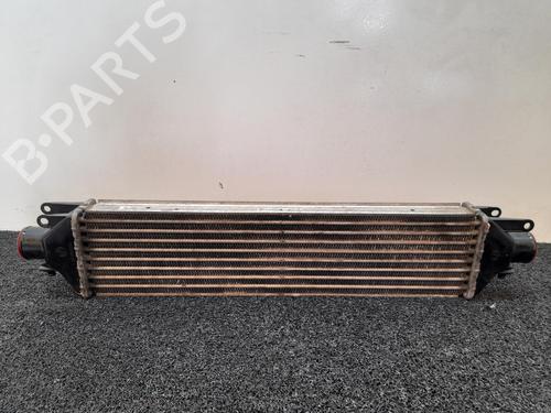 Used Intercooler FIAT LINEA (323_, 110_) 1.6 D Multijet (105 hp) 4437969