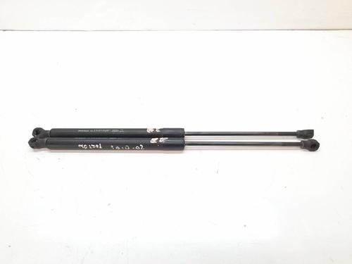 Used Tailgate lift support DACIA SANDERO II [2012-2025]  15230542