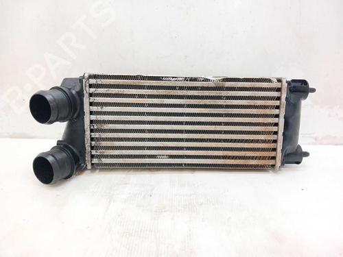 intercooler-citroen-berlingo-multispace-b9-2008-40228098 main image