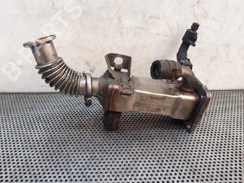 Egr RENAULT SCÉNIC II (JM0/1_)  | BP14036676M69 