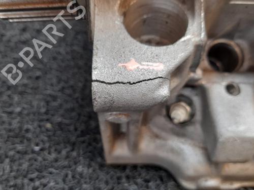 Cylinder head NISSAN PRIMASTAR Van (X83) 1.9 dCi 100 | BP10974312M5 
