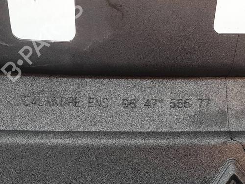 Grille CITROËN C3 I (FC_, FN_) 1.4 HDi | BP29499349C40 
