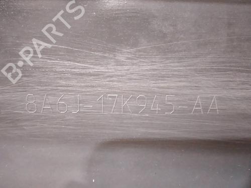 Grille FORD FIESTA VI (CB1, CCN) 1.6 Ti | BP24432136C40 