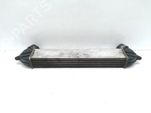 Intercooler FIAT DOBLO Box Body/MPV (223_) 1.3 JTD 16V | BP12312863M30 