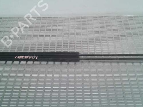 Used Tailgate lift support FORD FIESTA V (JH_, JD_) 1.4 TDCi (68 hp) 14032459