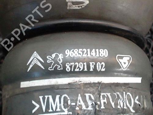 Pipe CITROËN BERLINGO MULTISPACE (B9) 1.6 HDi 75 / BlueHDi 75 | BP14037951M125 