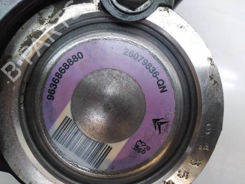 Steering pump PEUGEOT 206 Hatchback (2A/C) 1.4 LPG | BP13099516M99 