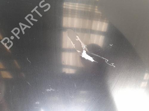 Tailgate MERCEDES-BENZ SLK (R170) 230 Kompressor (170.447) | BP9502059C6 