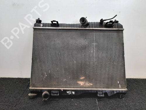 Køler FORD FIESTA VI (CB1, CCN) 1.4 TDCi (70 hp) 8368792