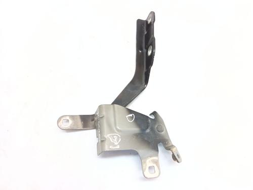 hingedoor-check-strap-renault-clio-iv-bh_-2012-2013-2014-2015-2016-2017-2018-2019-2020-2021-34390569 main image
