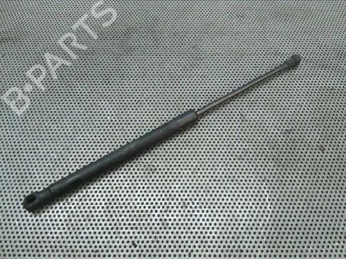 Used Hood lift support VW CADDY III MPV (2KB, 2KJ, 2CB, 2CJ) 2.0 SDI (70 hp) 14034225