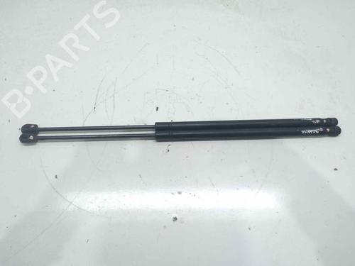 Used Tailgate lift support OPEL VECTRA C Estate (Z02) 1.9 CDTI (F35) (120 hp) 14041129