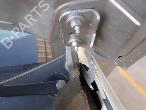 hingedoor-check-strap-ford-fiesta-vii-hj-hf-2017-25837526 main image