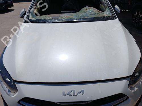 Used Hood Hood KIA CEED Sportswagon (CD) 1.0 T-GDI (120 hp) 36223902 36223902