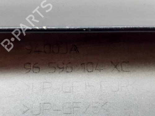 Rear spoiler CITROËN C4 Coupe (LA_)  | BP29414403C96 