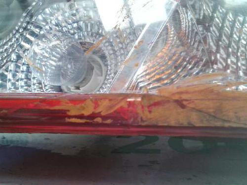 Right taillight CHEVROLET AVEO / KALOS Hatchback (T200) 1.2 | BP112702C35 
